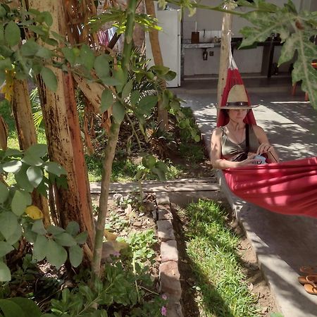 Flying Monkey Hostel Nazca Exterior photo