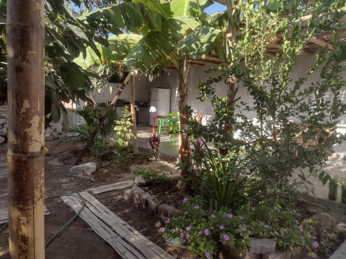 Flying Monkey Hostel Nazca Exterior photo