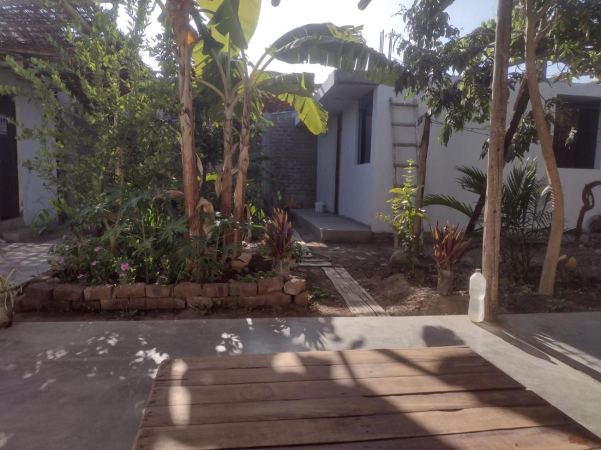 Flying Monkey Hostel Nazca Exterior photo